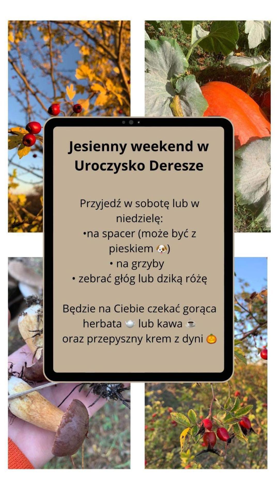 Uroczysko Deresze Villa Gilawy Exterior foto